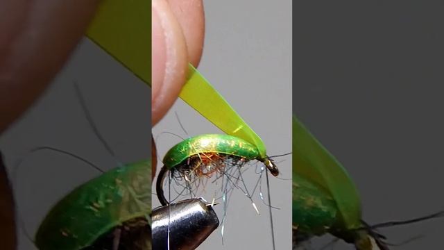 Gammarus. Scud Fly. #flyfishing #flytying #trout #diy смотреть онлайн