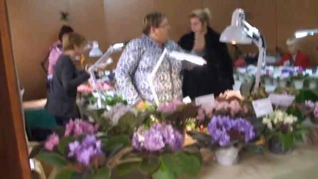 Выставка фиалок "Краски Осени" 19-21 ноября 2010г. 2 часть смотреть онлайн