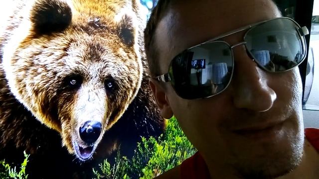 Стихотворение "Русский медведь"??? смотреть онлайн