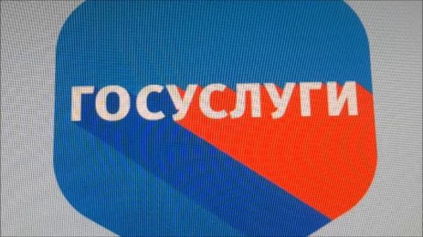 Какие справки можно получить через портал госуслуг ?