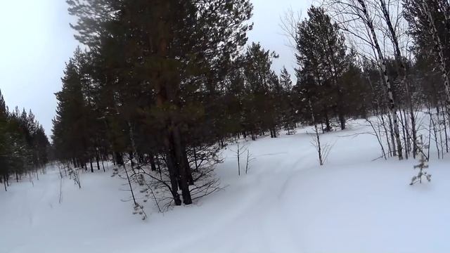 Охота на глухаря зимой смотреть онлайн