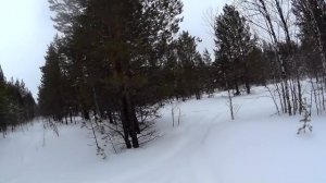 Охота на глухаря зимой