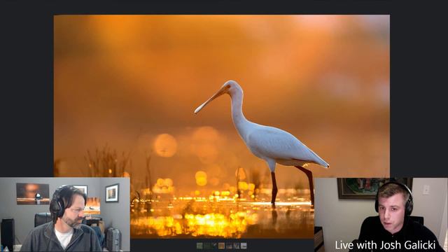 Wildlife Photography - Happy Hour with Josh Galicki - Ask anything, live! смотреть онлайн