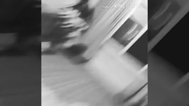 Летучая мышь залетела домой? #летучаямышь смотреть онлайн