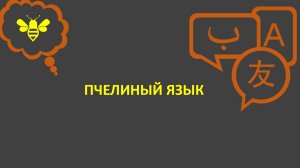 Танец пчёл - пчелиный язык. Как пчёлы общаются?