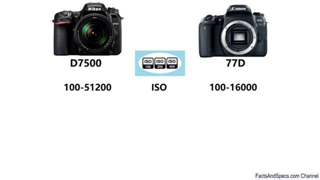 Nikon D7500 vs Canon EOS 77D смотреть онлайн