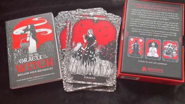 Oracle of a Witch - Flavia Kate Peters, Barbara Meiklejohn-Free смотреть онлайн