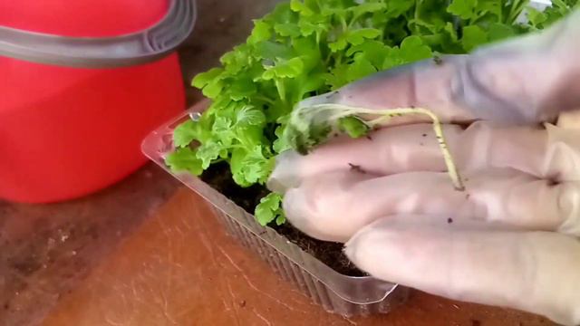 Работа не стоит на месте.. .. смотреть онлайн