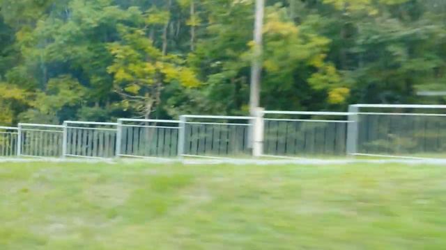 АРТЕМ PRIMORSKII смотреть онлайн