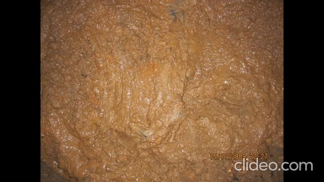 Кожаные ботфорты в глине