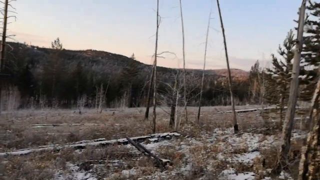 Поездка на зимовье, зима, УАЗик, изюбря... смотреть онлайн