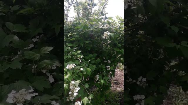 Какие люди сейчас больше всего востребованны. смотреть онлайн