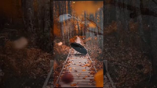 Рустам Азиреткулов, "Вальс расставания". Автору Янь Френкель. смотреть онлайн