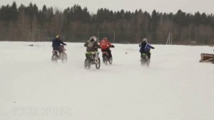 Праздник коня, Вологодская область