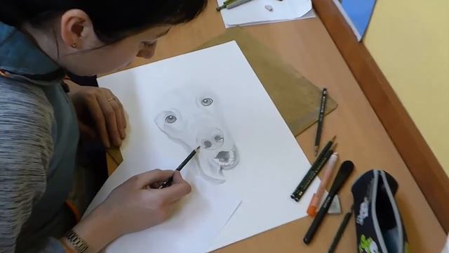 Анималистика. Рисуем животных. Изостудия "Зеркало". смотреть онлайн