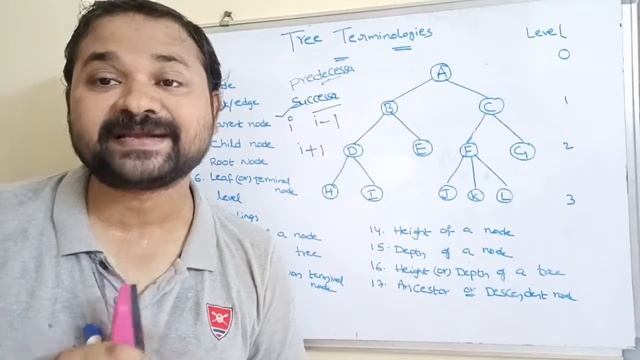 tree terminology in data structure смотреть онлайн