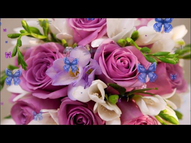 с днем рождения смотреть онлайн