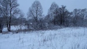Снег кружится летает, летает