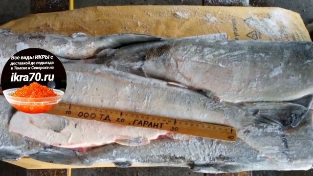 Красная?Рыба?в Томске! ?!верске?. РЫБА, Стейки КЕТЫ, КИЖУЧА, СЁМГИ. ikra70.ru. 89528871534? смотреть онлайн