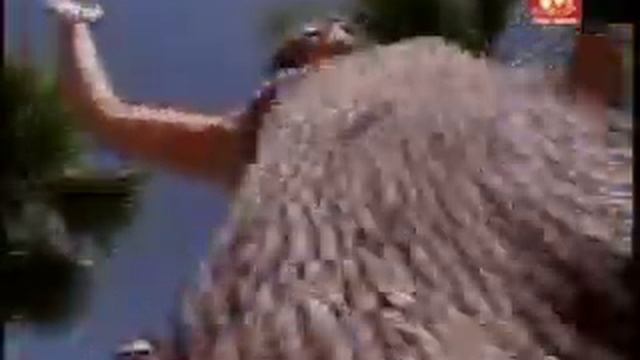 Persian Bandari Music Video смотреть онлайн