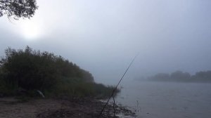 3 дня с байдаркой и палаткой. Ильмень, Ловать, Большое Толони -  отдых, рыбалка, лес, грибы - ягоды
