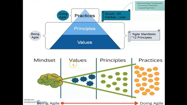 From Waterfall To Agile смотреть онлайн