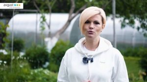 Бомбер - дымовая шашка от вредителей и болезней. Инструкция по применению