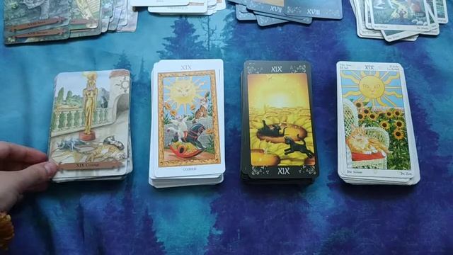 МОИ КОШАЧЬИ КОЛОДЫ ТАРО смотреть онлайн