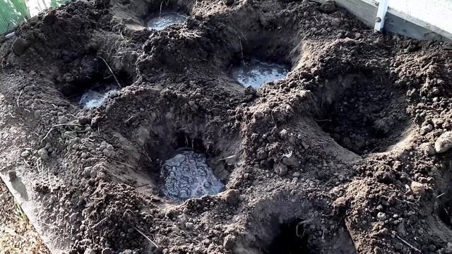 Высаживаем огурцы в теплицу Делаем теплую грядку смотреть онлайн