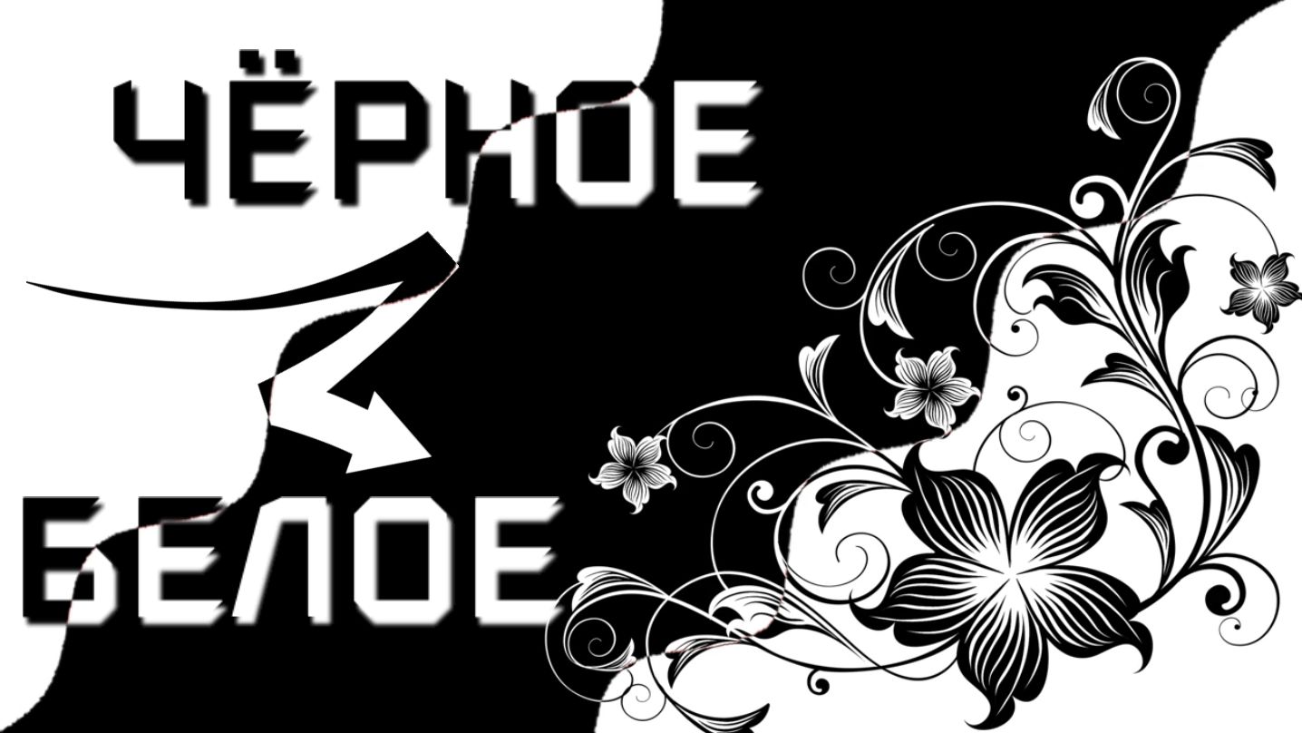 Черное и белое |Black and white | ФотоШоу PRO| PhotoShow PRO
