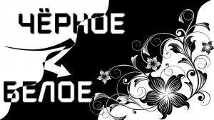 Черное и белое |Black and white | ФотоШоу PRO| PhotoShow PRO