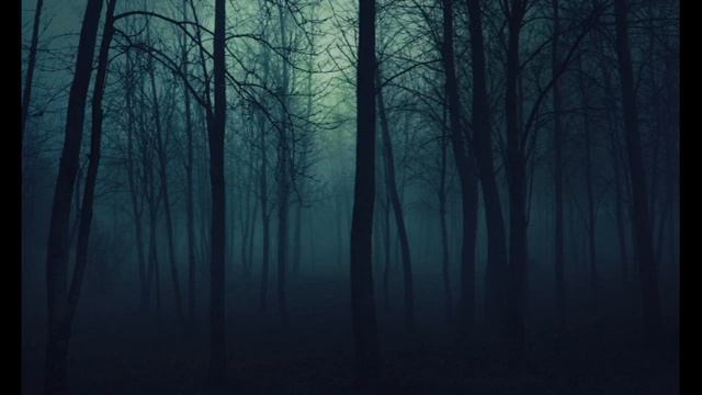 Dream Forest / Тёмный лес