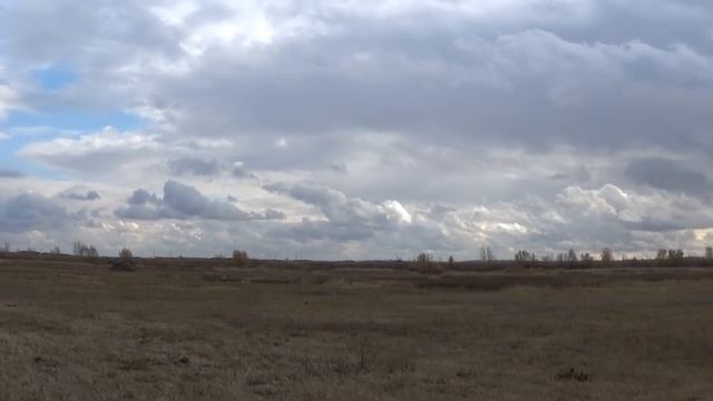 Охота на зайцев - Открытие сезона смотреть онлайн