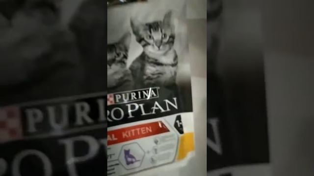 Сухой корм для котят Purina Pro Plane