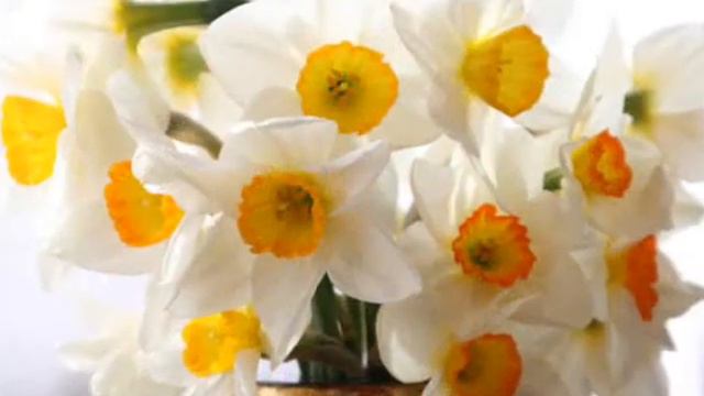 С днем рожд. Лена смотреть онлайн