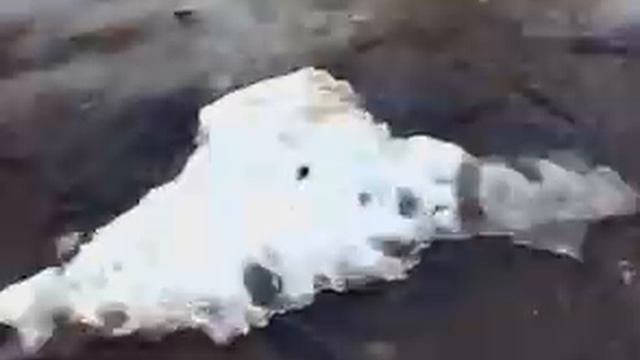 Рыбалка ЯНАО ЩУКА Ноябрьск.Fishing in Russia.Noyabrsk. the pike. смотреть онлайн