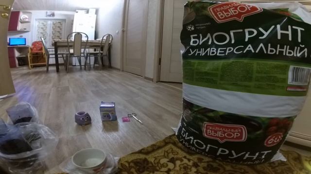 Баклажаны "Алмаз".Как правильно замачивать. смотреть онлайн