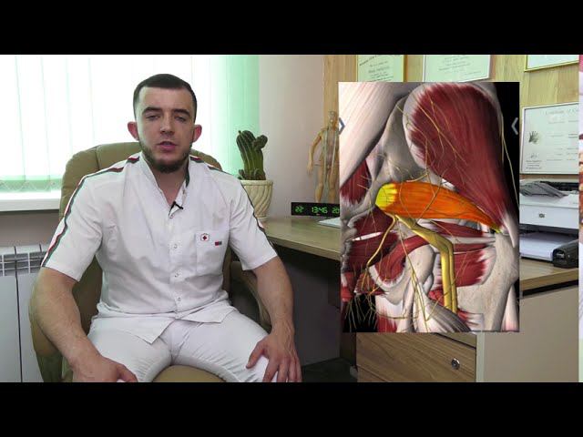 Средняя ягодичная мышца