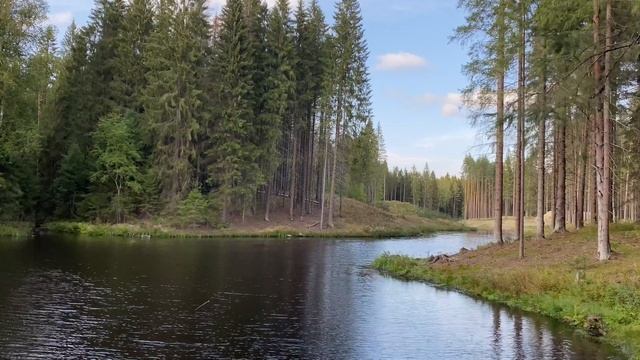 Дни силы в июле 2023 года смотреть онлайн