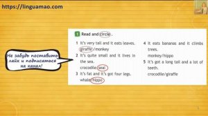 Spotlight 4 класс Workbook страница 32 номер 1 ГДЗ решебник