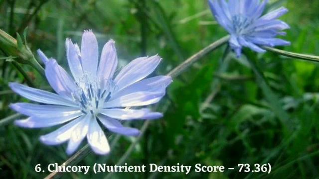 Top 10 Healthiest Vegetables In The World смотреть онлайн
