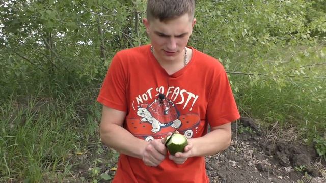 ✅ МОЩНАЯ ПЕТАРДА + ФРУКТЫ ? ТОП 10 ПЕТАРД ПРОТИВ ЭКЗОТИЧЕСКИХ ФРУКТОВ ? КОКОС, МАНГО, АВОКАДО, АРБУ смотреть онлайн