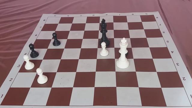 Эндшпиль. Пешки-"недотроги". смотреть онлайн