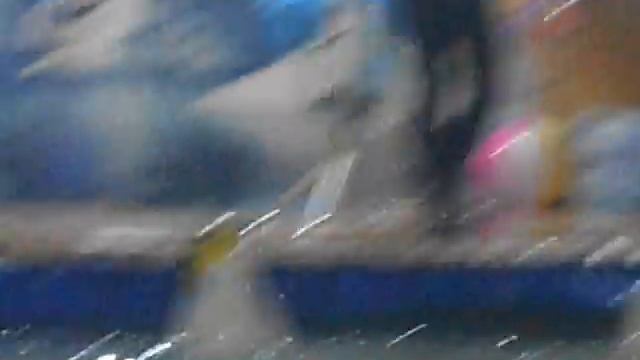 Дельфинарий))Шторм и Штиль) смотреть онлайн