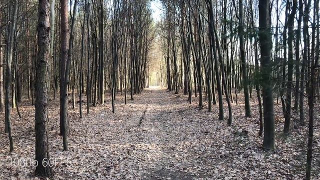 IPHONE 7 PLUS CAMERA TEST ( 4K vs 1080p ) смотреть онлайн