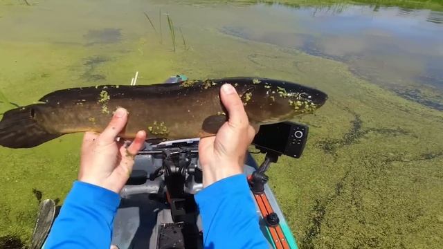 Fishing with Lures for Beginners - When to Use (Underwater Fishing Lures) смотреть онлайн