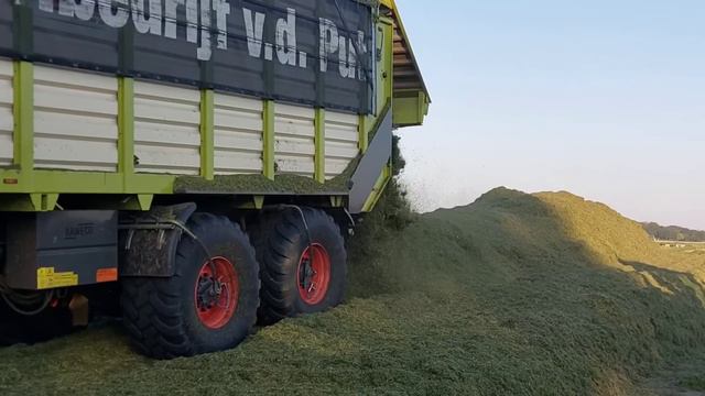 GRAS HAKSELEN Tweede Snede | Boer Gerrit Vlogt