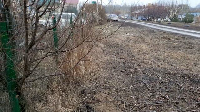 Пополнили запасы дров смотреть онлайн