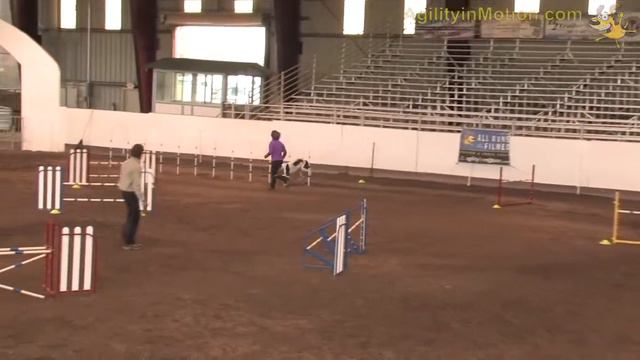 Greyhound Whisper-Dec.29 2012-JWW смотреть онлайн