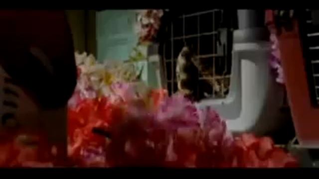 Snakes on a Plane-Teaser Trailer смотреть онлайн